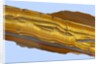 Tiger Eye Gemstone by Anonymous