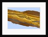 Tiger Eye Gemstone by Anonymous