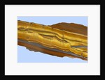 Tiger Eye Gemstone by Anonymous