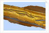 Tiger Eye Gemstone by Anonymous