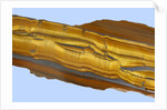 Tiger Eye Gemstone by Anonymous