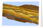 Tiger Eye Gemstone by Anonymous