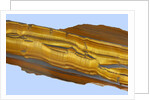 Tiger Eye Gemstone by Anonymous
