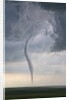 Rope tornado by Anonymous