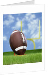 Football and field goal by Anonymous