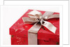 Valentine's Day gift by Anonymous