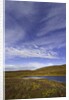 Cirrus and Cumulus Clouds Above Autumn Tundra in Denali National Park by Anonymous