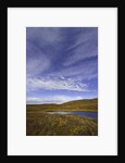 Cirrus and Cumulus Clouds Above Autumn Tundra in Denali National Park by Anonymous