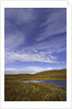Cirrus and Cumulus Clouds Above Autumn Tundra in Denali National Park by Anonymous