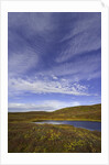 Cirrus and Cumulus Clouds Above Autumn Tundra in Denali National Park by Anonymous