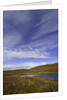 Cirrus and Cumulus Clouds Above Autumn Tundra in Denali National Park by Anonymous