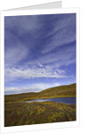 Cirrus and Cumulus Clouds Above Autumn Tundra in Denali National Park by Anonymous