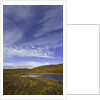 Cirrus and Cumulus Clouds Above Autumn Tundra in Denali National Park by Anonymous