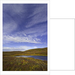 Cirrus and Cumulus Clouds Above Autumn Tundra in Denali National Park by Anonymous