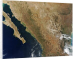 Baja State by Anonymous