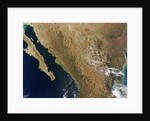 Baja State by Anonymous