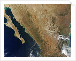 Baja State by Anonymous
