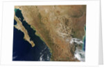 Baja State by Anonymous