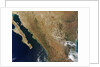 Baja State by Anonymous