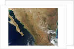 Baja State by Anonymous