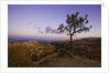 Moonrise over Bryce Canyon National Park by Anonymous