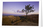 Moonrise over Bryce Canyon National Park by Anonymous