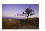 Moonrise over Bryce Canyon National Park by Anonymous