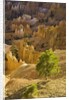 Sandstone hoodoos seen from Sunset Point in Bryce Canyon National Park by Anonymous