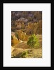 Sandstone hoodoos seen from Sunset Point in Bryce Canyon National Park by Anonymous