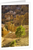 Sandstone hoodoos seen from Sunset Point in Bryce Canyon National Park by Anonymous