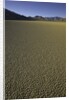 Granulated surface of sandy playa called Racetrack, Death Valley National Park, CA by Anonymous