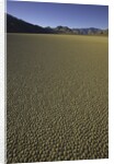 Granulated surface of sandy playa called Racetrack, Death Valley National Park, CA by Anonymous