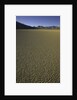 Granulated surface of sandy playa called Racetrack, Death Valley National Park, CA by Anonymous