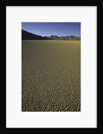 Granulated surface of sandy playa called Racetrack, Death Valley National Park, CA by Anonymous
