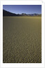 Granulated surface of sandy playa called Racetrack, Death Valley National Park, CA by Anonymous