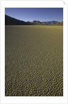 Granulated surface of sandy playa called Racetrack, Death Valley National Park, CA by Anonymous
