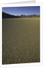 Granulated surface of sandy playa called Racetrack, Death Valley National Park, CA by Anonymous