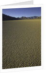 Granulated surface of sandy playa called Racetrack, Death Valley National Park, CA by Anonymous