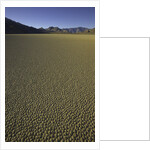 Granulated surface of sandy playa called Racetrack, Death Valley National Park, CA by Anonymous