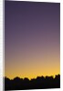 Sunset in the Needles District in Canyonlands National Park by Anonymous