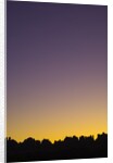 Sunset in the Needles District in Canyonlands National Park by Anonymous