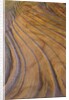 Colorful striated sandstone layers at Coyote Buttes by Anonymous