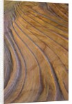 Colorful striated sandstone layers at Coyote Buttes by Anonymous