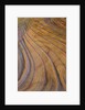 Colorful striated sandstone layers at Coyote Buttes by Anonymous
