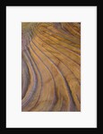 Colorful striated sandstone layers at Coyote Buttes by Anonymous