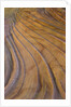 Colorful striated sandstone layers at Coyote Buttes by Anonymous