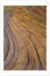 Colorful striated sandstone layers at Coyote Buttes by Anonymous