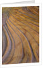 Colorful striated sandstone layers at Coyote Buttes by Anonymous