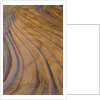 Colorful striated sandstone layers at Coyote Buttes by Anonymous