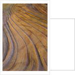 Colorful striated sandstone layers at Coyote Buttes by Anonymous
